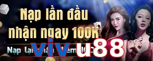 vivu88